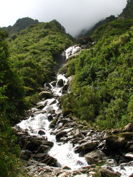 Fox Glacier
