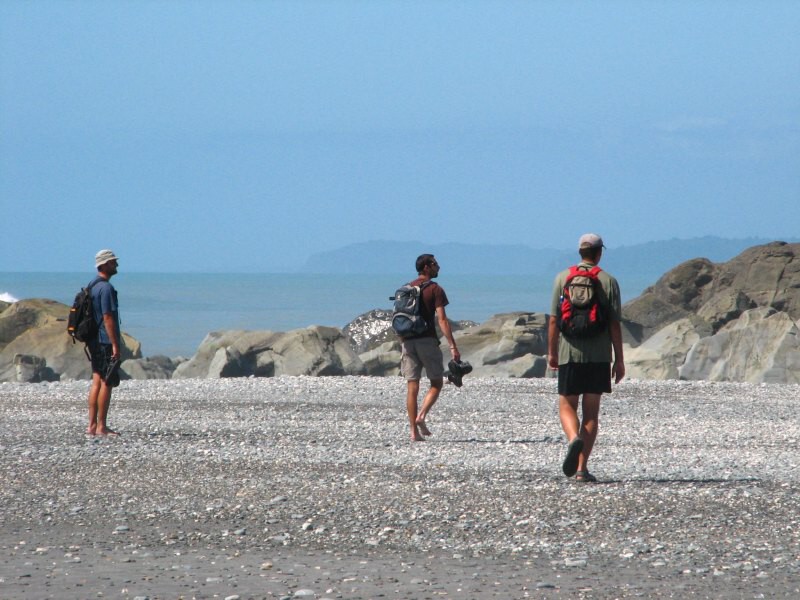 Fox Glacier