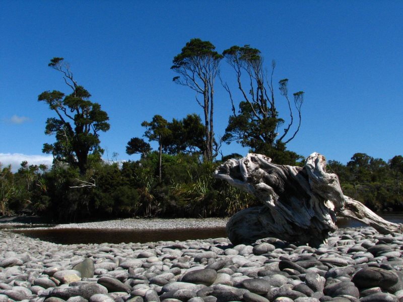 Fox Glacier