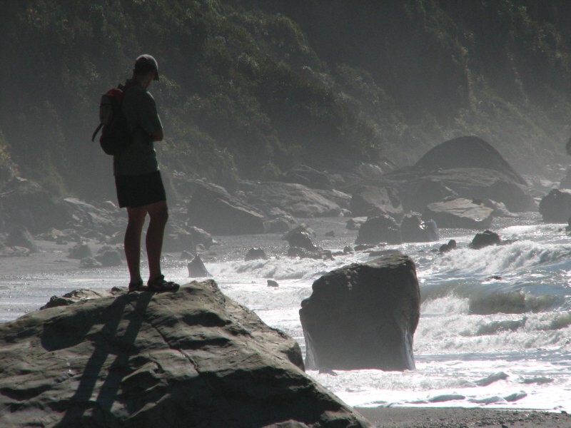 Fox Glacier