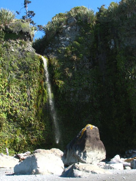 Fox Glacier