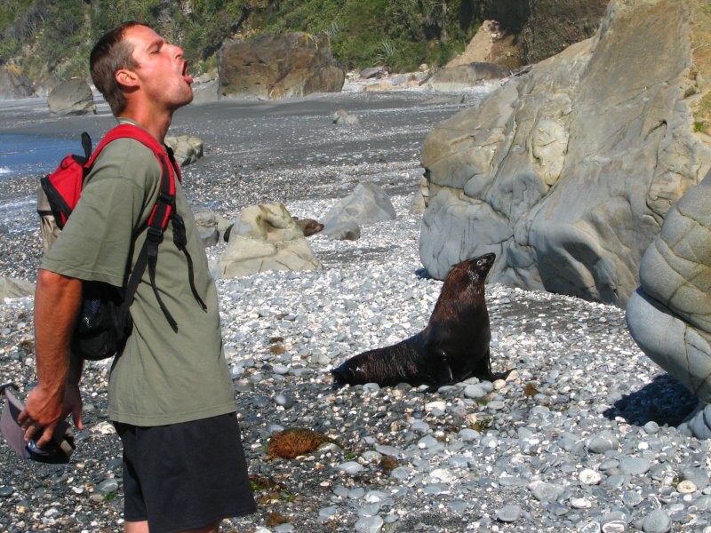 Fox Glacier