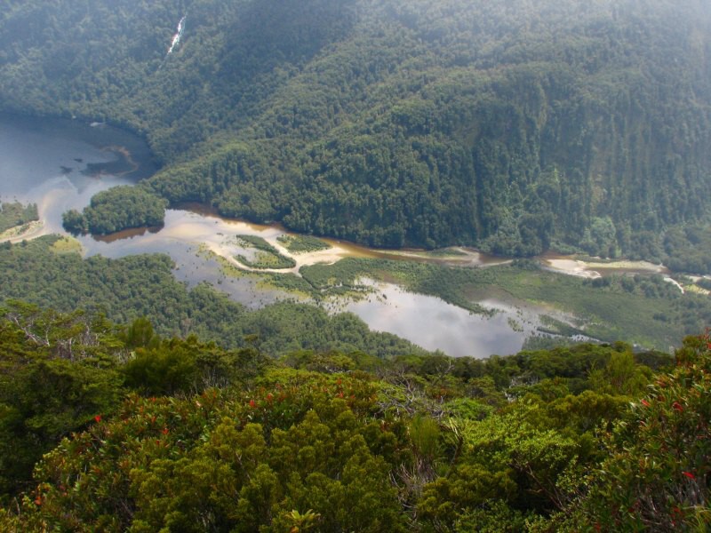 Dusky track