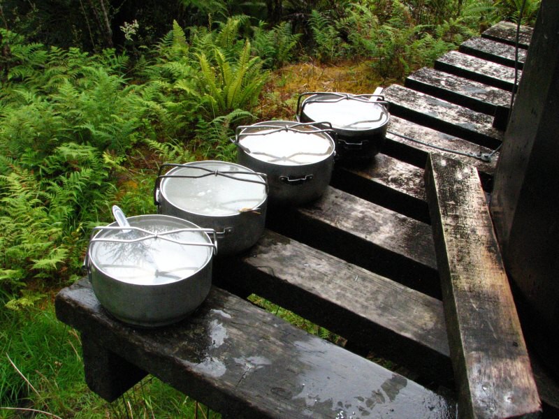 Dusky track
