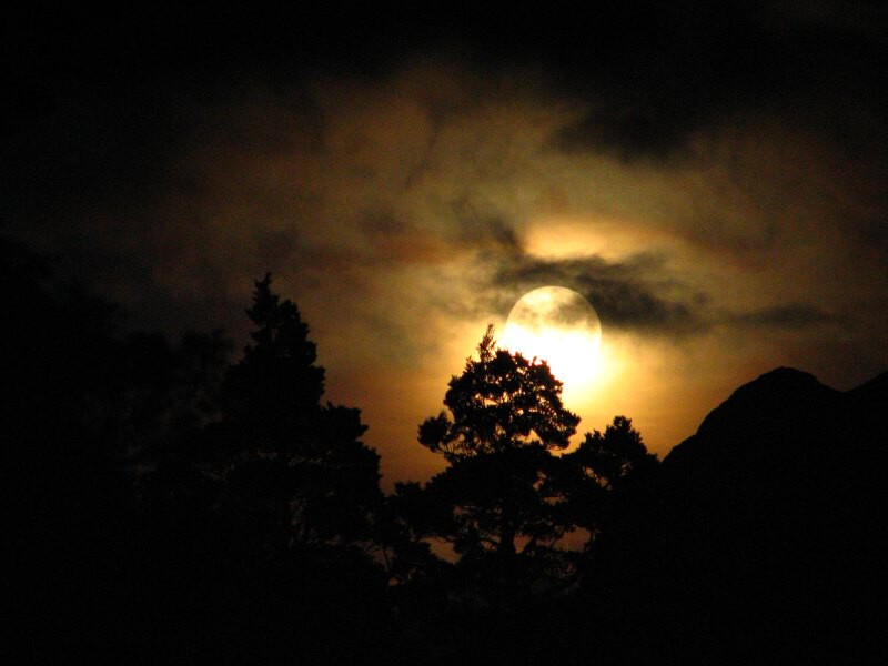 Dusky track
