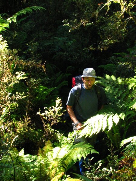 Dusky track