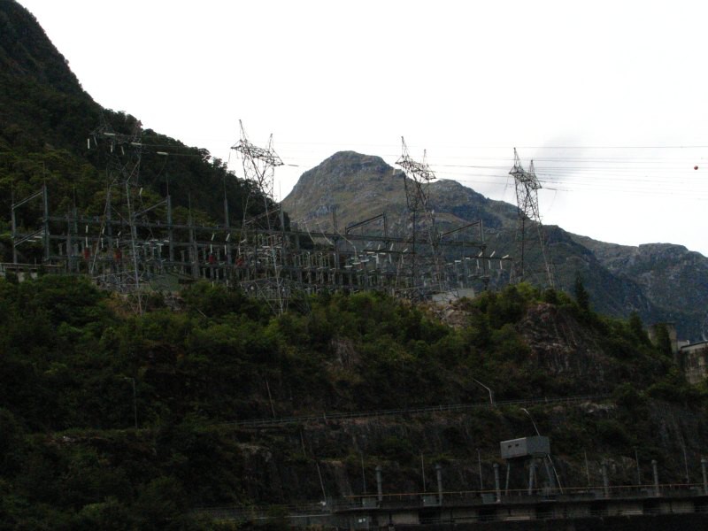 Dusky track