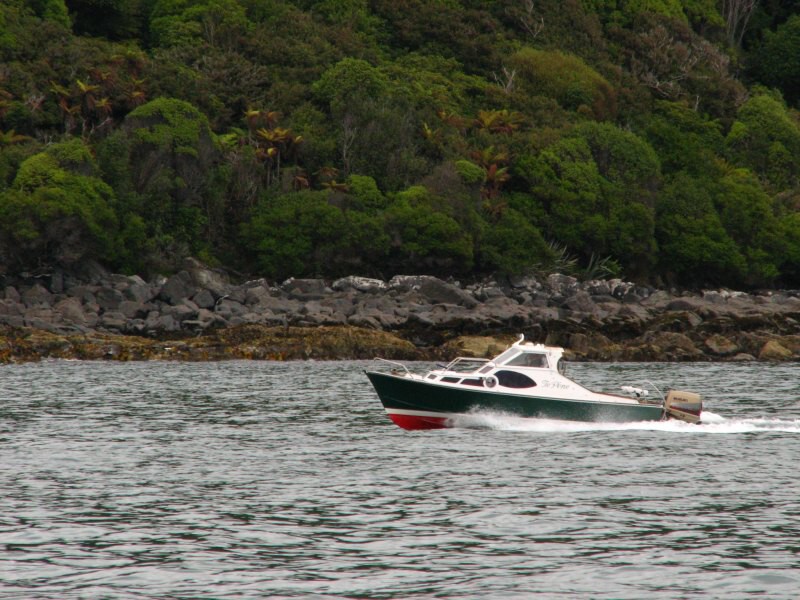 Stewart Island 01