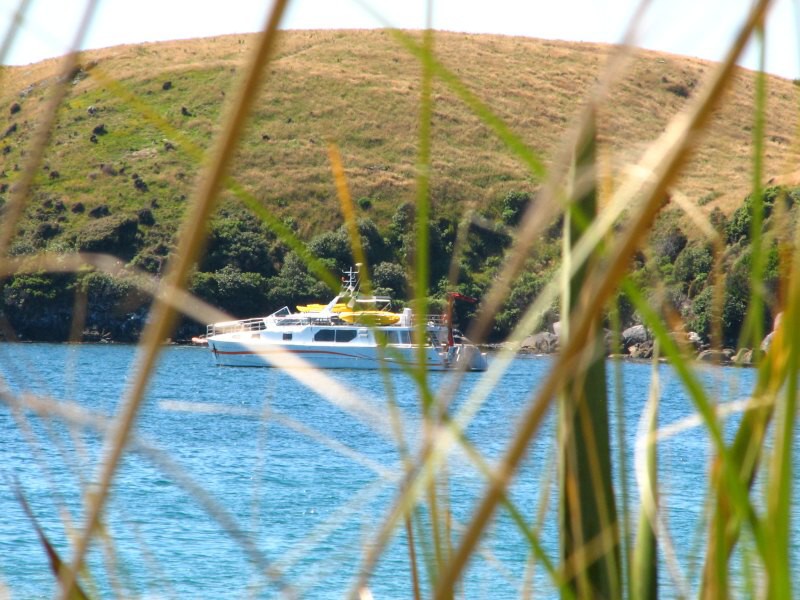 Stewart Island 01