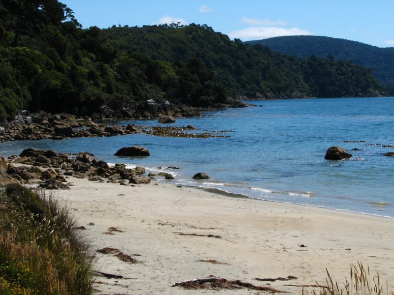 Stewart Island 01