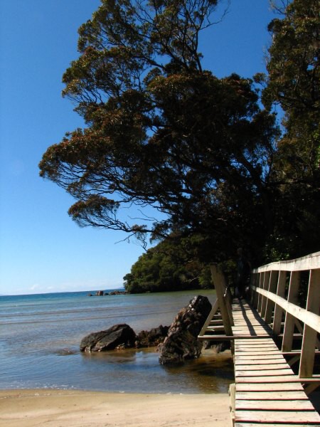 Stewart Island 01