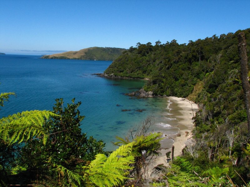 Stewart Island 01