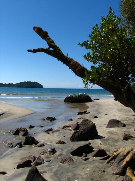 Stewart Island 01