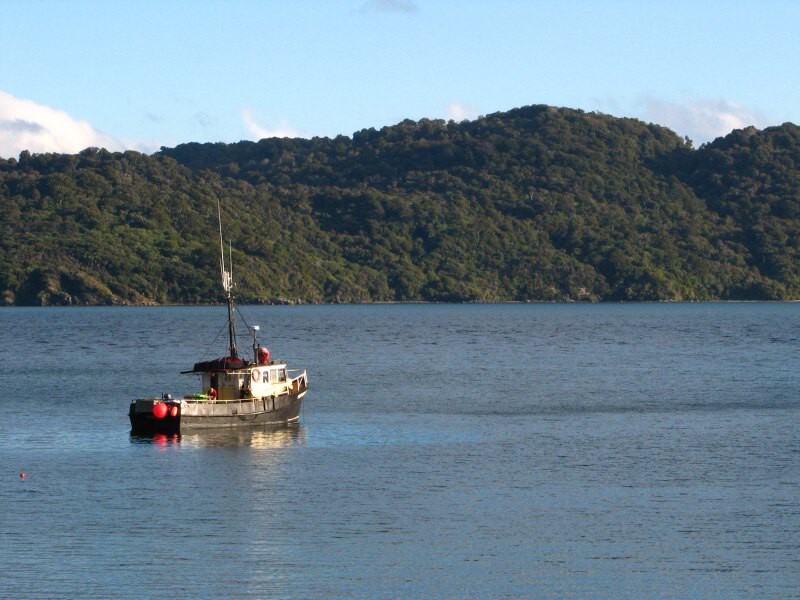 Stewart Island 01