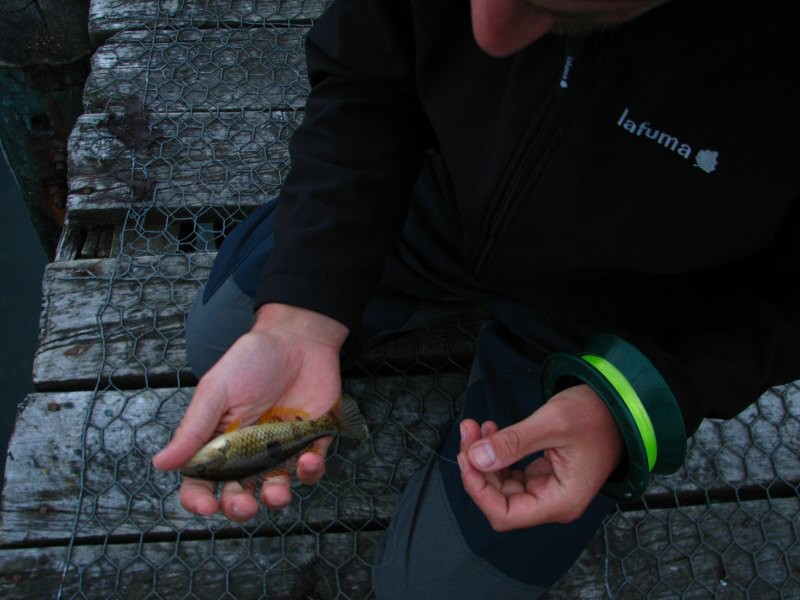 Stewart Island 01