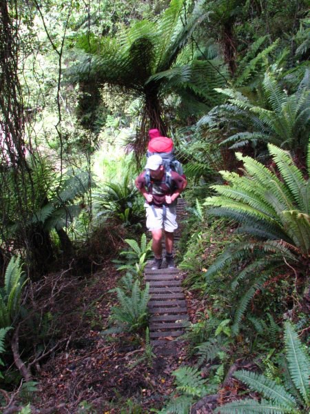 Stewart Island 02