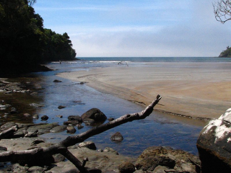 Stewart Island 02