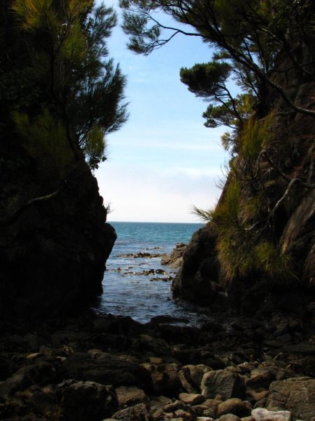 Stewart Island 02