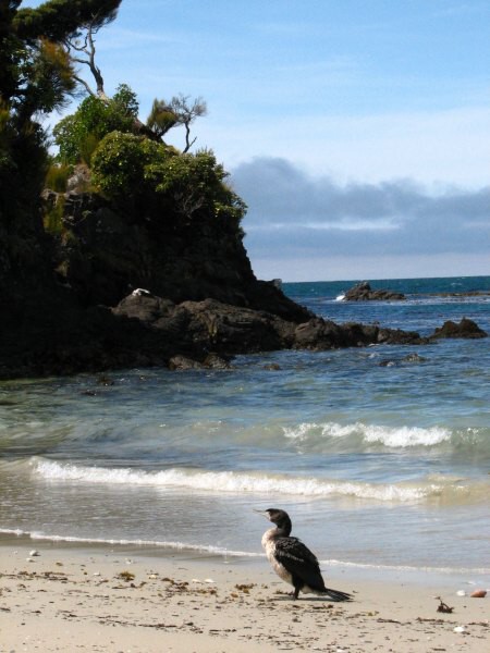 Stewart Island 02
