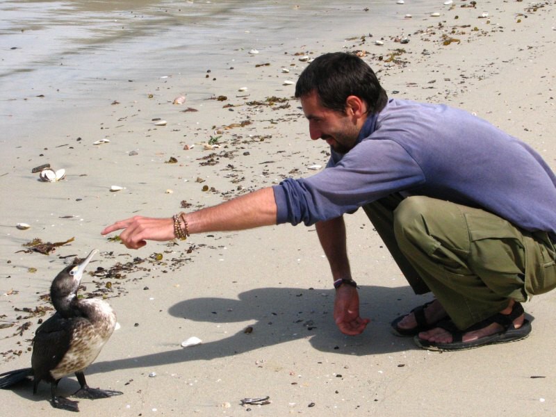 Stewart Island 02