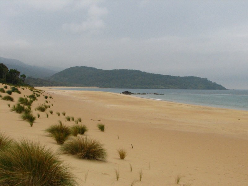 Stewart Island 02
