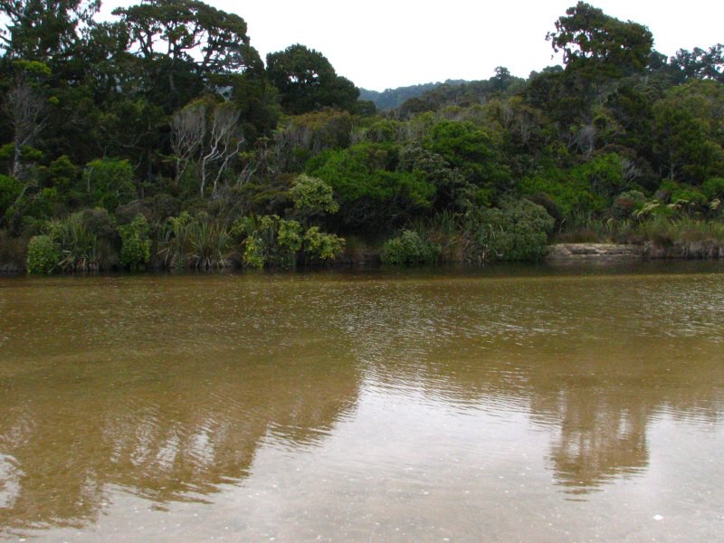Stewart Island 02