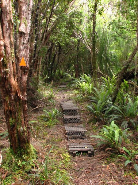 Stewart Island 02