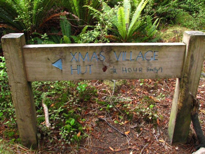 Stewart Island 02
