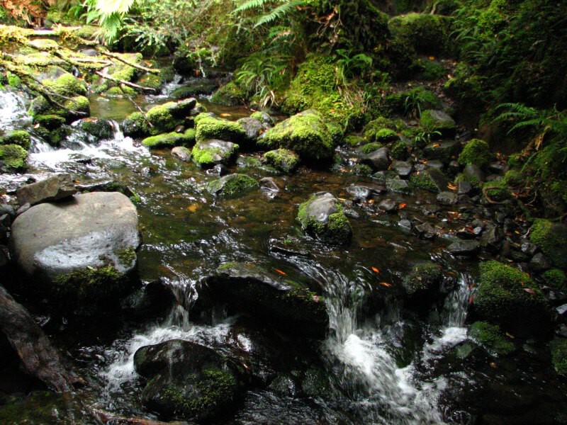 Stewart Island 02