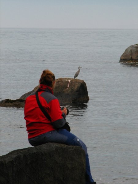 Stewart Island 02