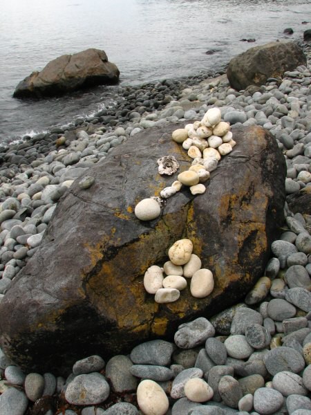 Stewart Island 02