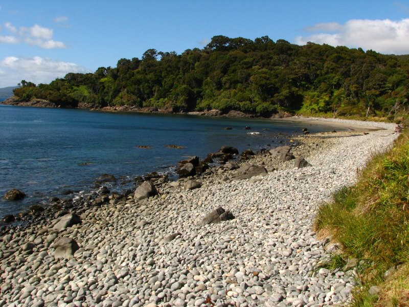 Stewart Island 02