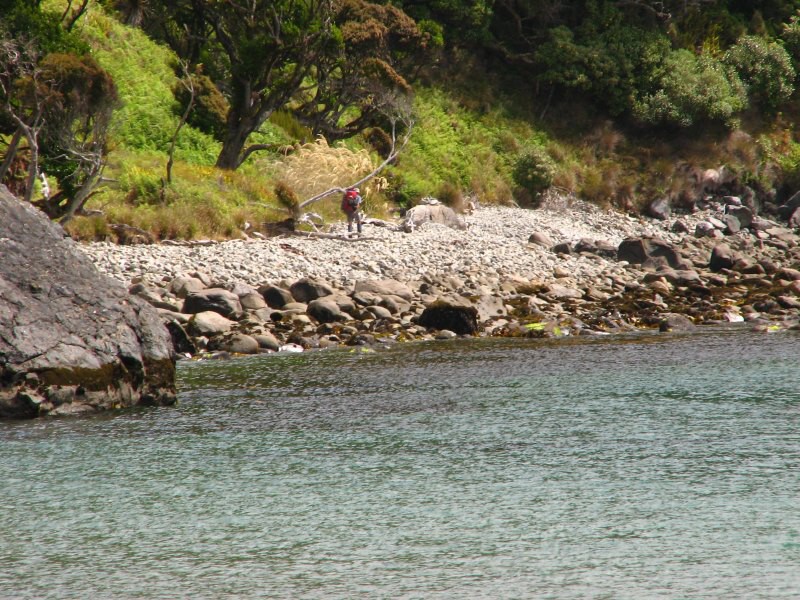 Stewart Island 02