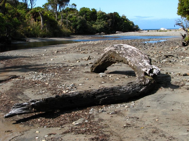 Stewart Island 02