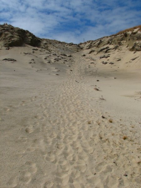 Stewart Island 03
