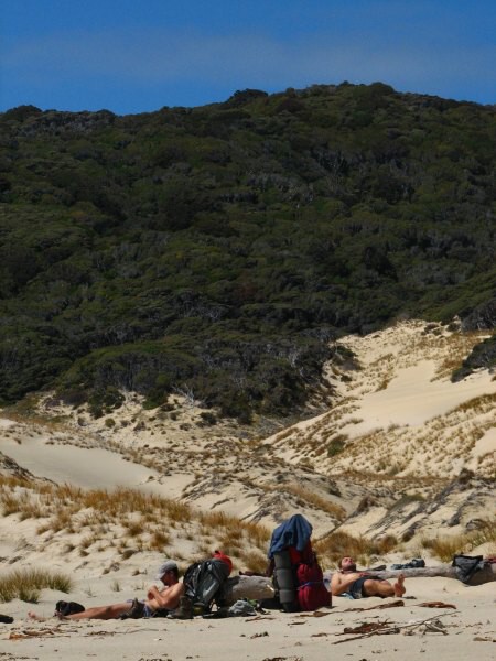 Stewart Island 03