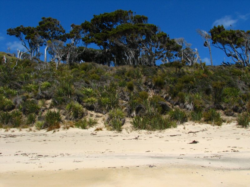 Stewart Island 03