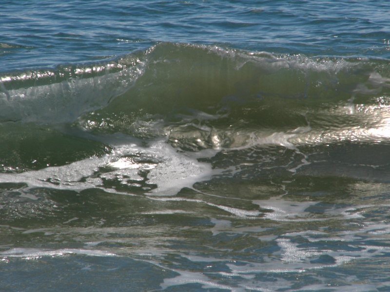 Stewart Island 03