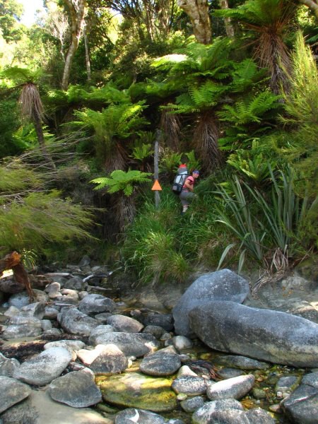Stewart Island 03
