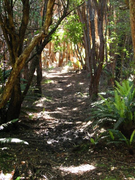 Stewart Island 03
