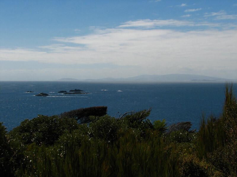 Stewart Island 03