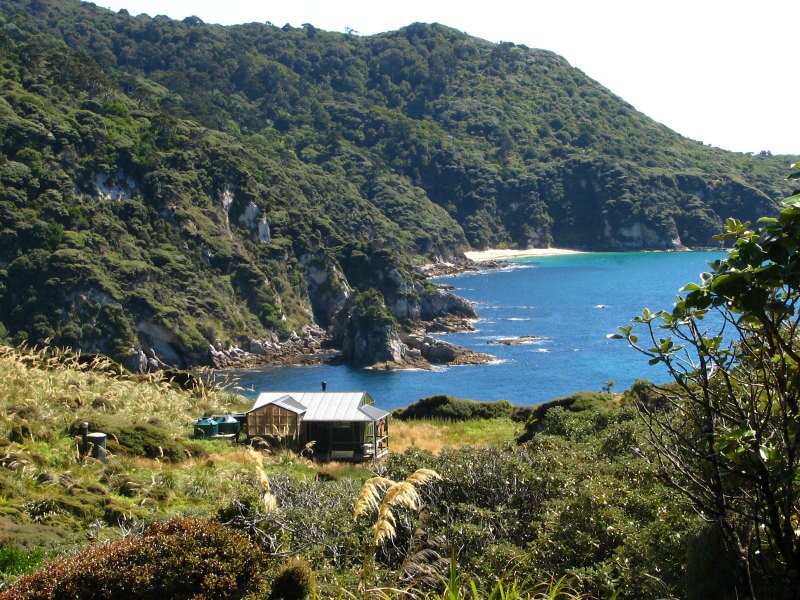 Stewart Island 03