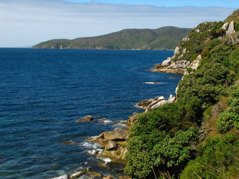 Stewart Island 03