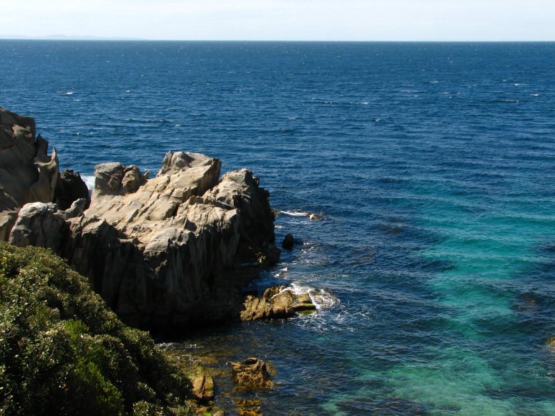 Stewart Island 03