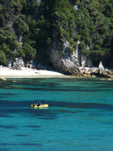 Stewart Island 03