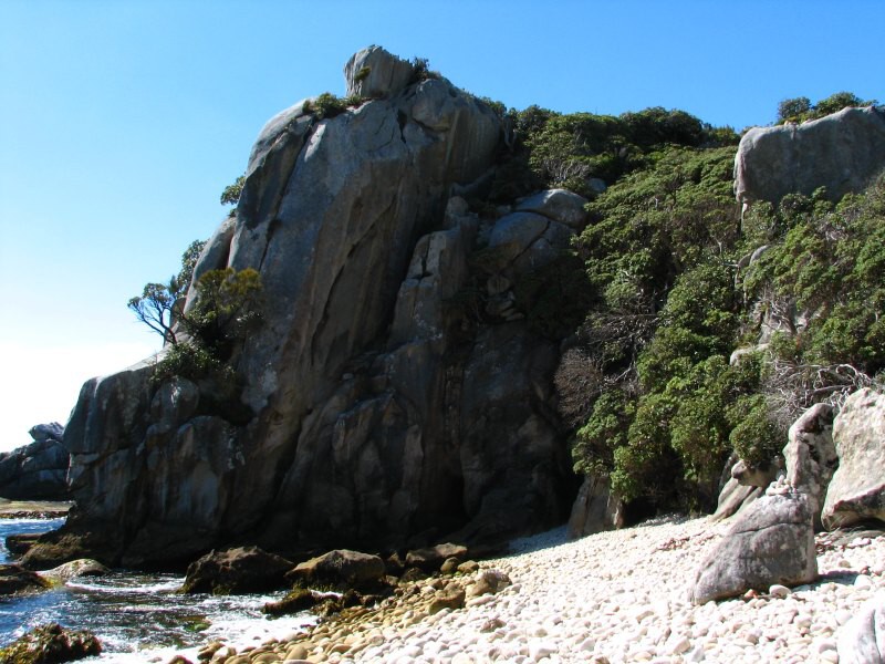 Stewart Island 03