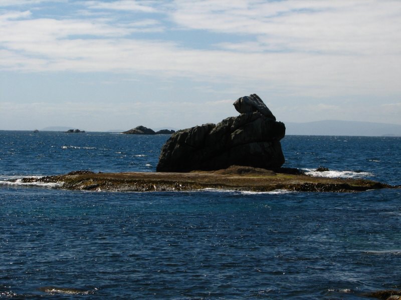 Stewart Island 03