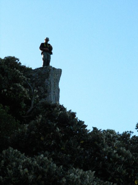 Stewart Island 03