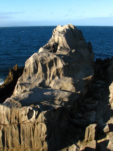 Stewart Island 03
