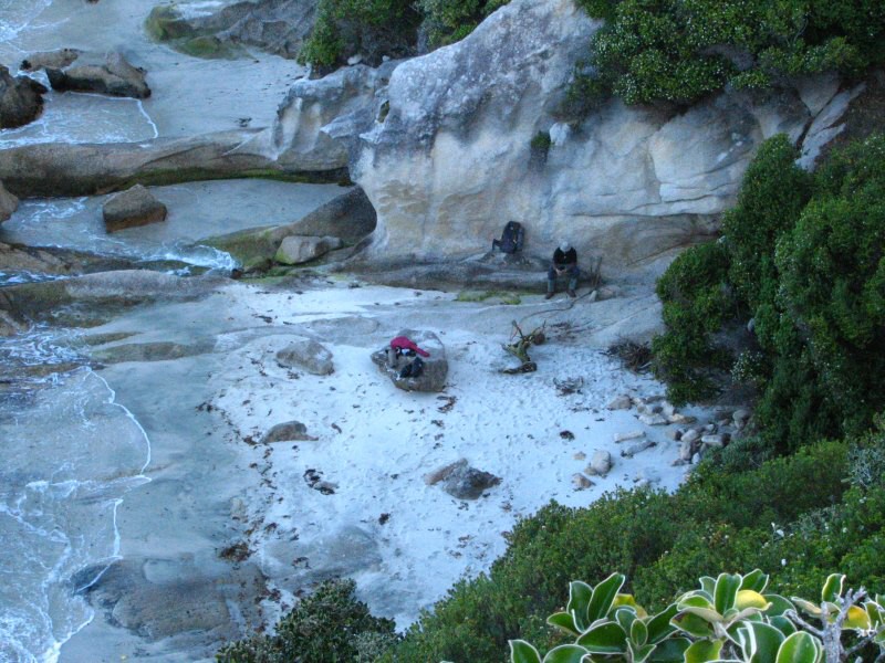 Stewart Island 03